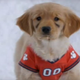 Snow Buddies (Screenshot: YouTube)